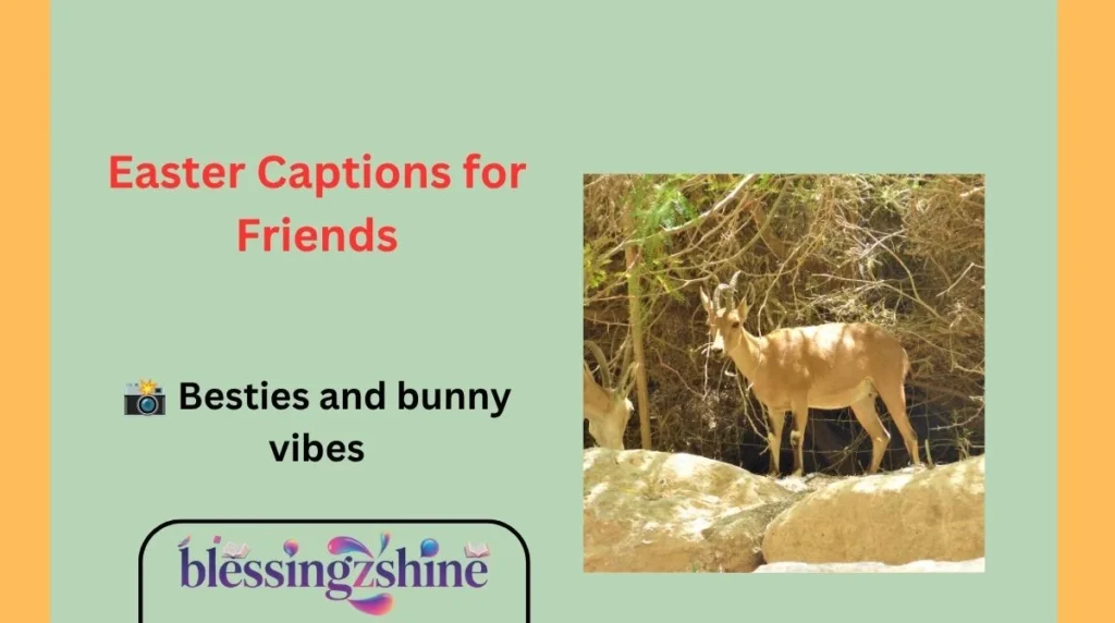 Easter Captions for Friends