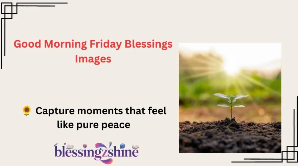 Good Morning Friday Blessings Images