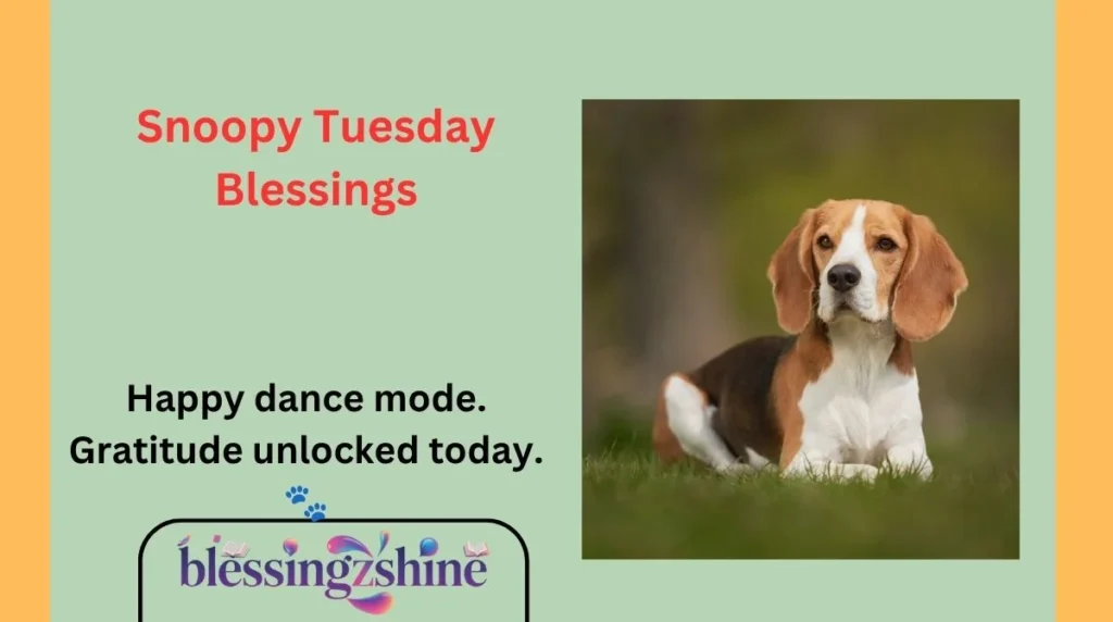 Snoopy Tuesday Blessings