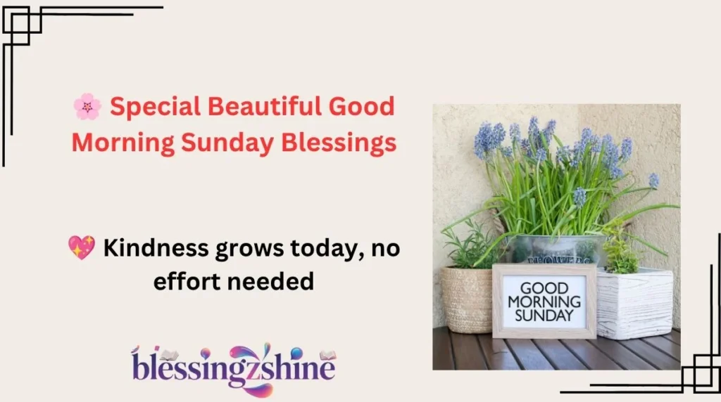 🌸 Special Beautiful Good Morning Sunday Blessings