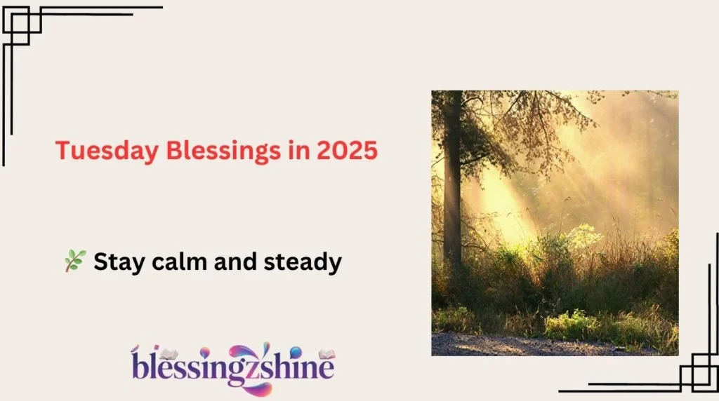 Tuesday Blessings in 2025