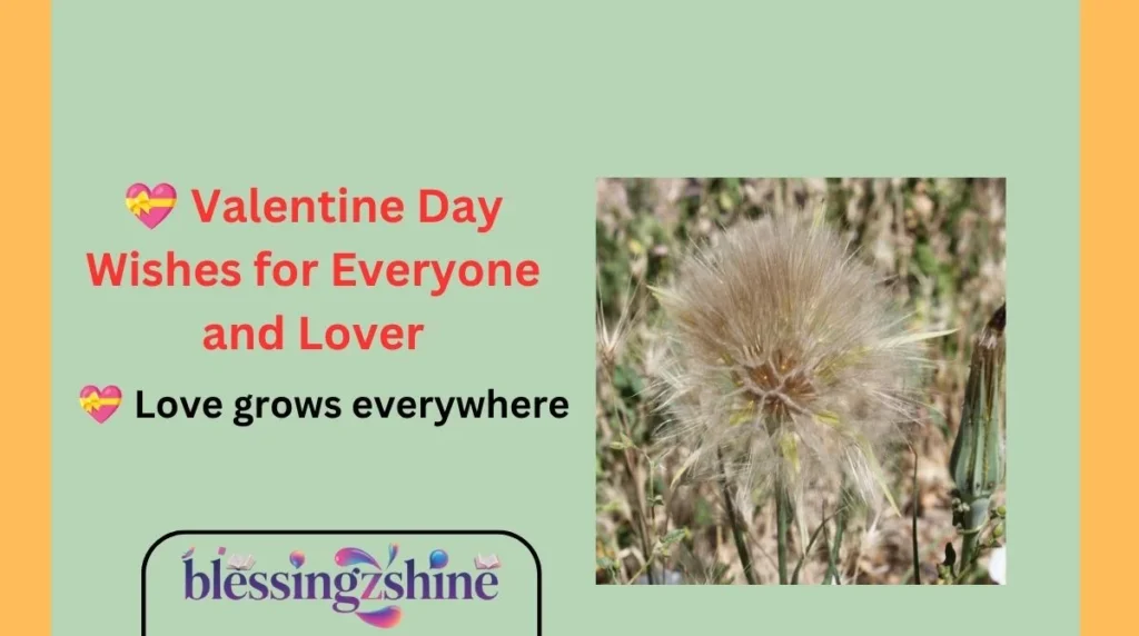 💝 Valentine Day Wishes for Everyone and Lover